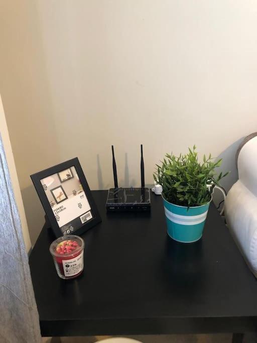 Beautiful & Cozy 1 Bedroom Apartment *